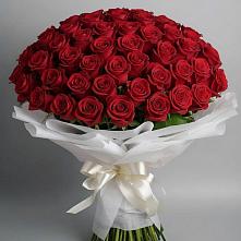 Букет 101 Красная роза Блэк Мэджик в Балашове