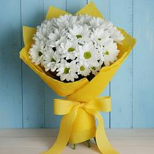 Букет цветов из:  Хризантемы в Балашове
