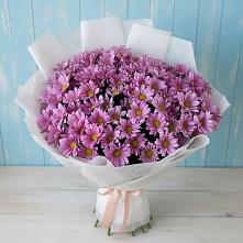 Букет цветов из:  Хризантемы в Балашове