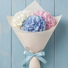 Букет цветов из:  Гортензия в Балашове