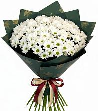 Букет цветов из:  Хризантемы #REPLACE_PRED# Балашове