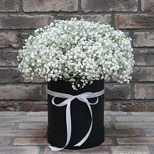 Цветочная композиция из Гипсофила в шляпной коробке в Балашове