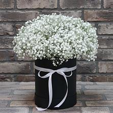 Цветочная композиция из Гипсофила в шляпной коробке в Балашове